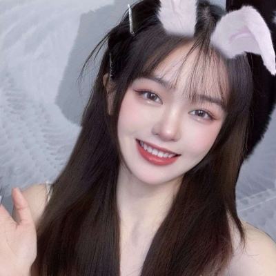 完美秘书汉化版下载
